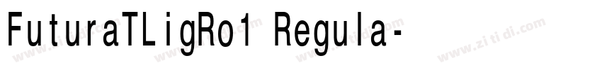 FuturaTLigRo1 Regula字体转换 FuturaTLigRo1 Regula字体转换